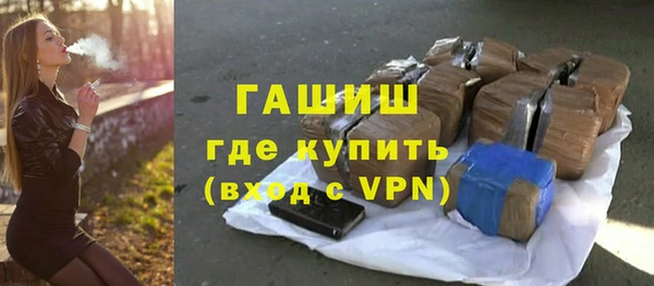 индика Горняк