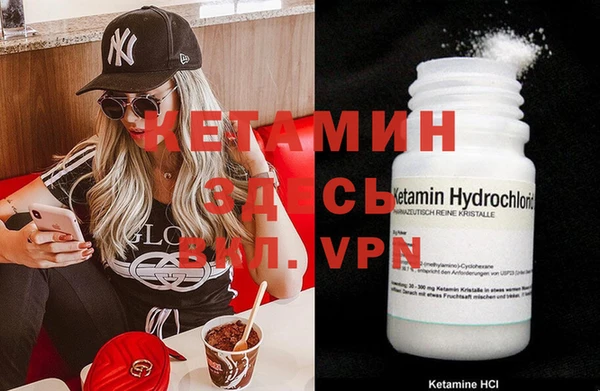 индика Горняк