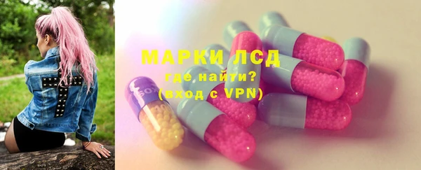 индика Горняк