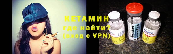 индика Горняк