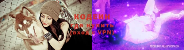 индика Горняк