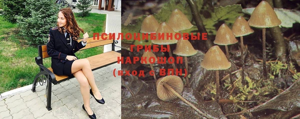 MESCALINE Горно-Алтайск