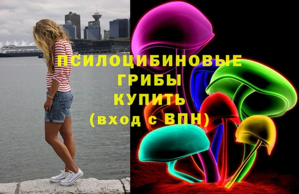мескалин Горнозаводск