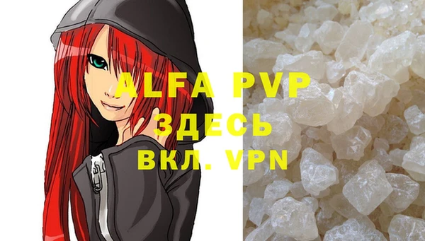 индика Горняк