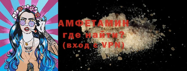 индика Горняк