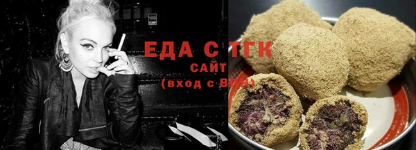 индика Горняк