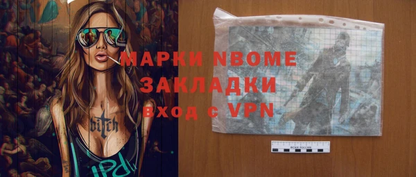 индика Горняк