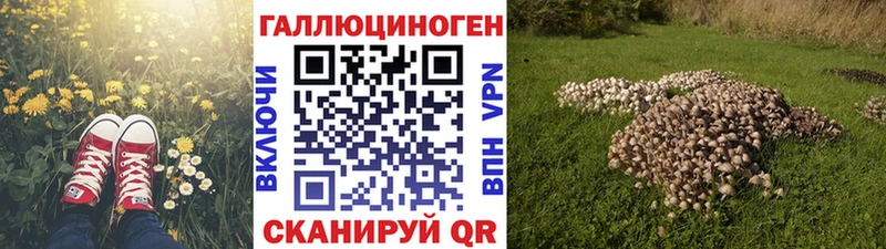 blacksprut вход  Очёр  Псилоцибиновые грибы Cubensis 